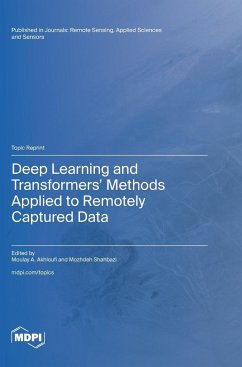 Deep Learning and Transformers' Methods Applied to Remotely Captured Data