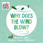 Why Does the Wind Blow?