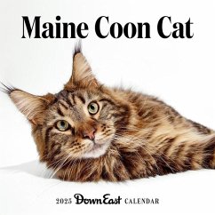 2025 Maine Coon Cat Wall Calendar - Down East Magazine