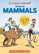 Is a Camel a Mammal? All about Mammals - Bild 1