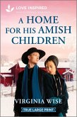 A Home for His Amish Children