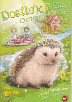 Cover Dostluk Ormani 06 - Inci Dikenlisirtin Harika Plani