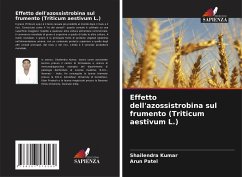 Effetto dell'azossistrobina sul frumento (Triticum aestivum L.) - Kumar, Shailendra;Patel, Arun