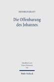 Die Offenbarung des Johannes (eBook, PDF)