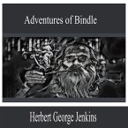 Adventures of Bindle (MP3-Download)