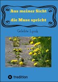 Aus meiner Sicht die Muse spricht (eBook, ePUB)