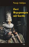 Zwei Begegnungen mit Goethe