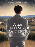 A 40 Centimetri Da Terra (eBook, ePUB)