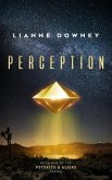 Perception (eBook, ePUB)
