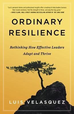 Ordinary Resilience (eBook, ePUB)