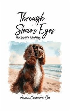 Through Stevie's eyes (eBook, ePUB) - Gili