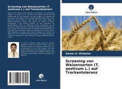 Screening von Weizensorten (T. aestivum L.) auf Trockentoleranz - Mirbahar, Ameer A.