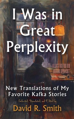 I Was In Great Perplexity - Kafka, Franz