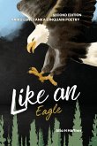 Like an Eagle - Second Edition