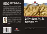 Criblage des variétés de blé (T. aestivum L.) pour la tolérance à la sécheresse