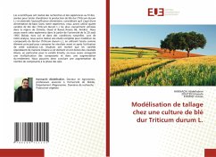 Modélisation de tallage chez une culture de blé dur Triticum durum L. - Abdelhakim, HANNACHI;khaoula, ZOUITEN;maissa, KHORIEF