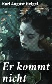 Er kommt nicht (eBook, ePUB)