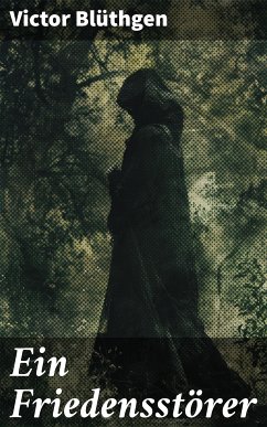 Ein Friedensstörer (eBook, ePUB) - Blüthgen, Victor