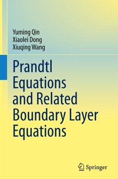 Prandtl Equations and Related Boundary Layer Equations - Qin, Yuming;Dong, Xiaolei;Wang, Xiuqing