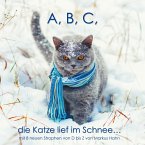 A, B, C, die Katze lief im Schnee