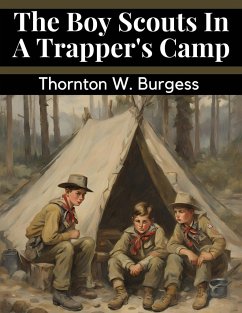 The Boy Scouts In A Trapper's Camp - Thornton W Burgess