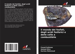 Il mondo dei fosfati, degli acidi fosforici e delle celle a combustibile - Soliman, Fouad;Mira, Hamed;Mahmoud, Karima