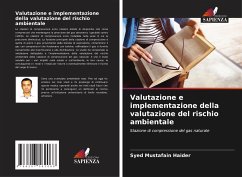 Valutazione e implementazione della valutazione del rischio ambientale - Haider, Syed Mustafain