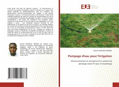 Pompage d'eau pour l'irrigation - Issoufou Imadan, Ahmed