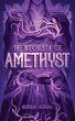 Amethyst (The Witches of Oz #1) - Bild 1