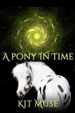 A Pony In Time (eBook, ePUB)