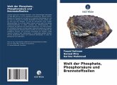 Welt der Phosphate, Phosphorsäure und Brennstoffzellen