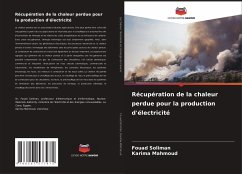 Récupération de la chaleur perdue pour la production d'électricité - Soliman, Fouad;Mahmoud, Karima