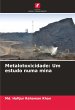 Metalotoxicidade: Um estudo numa mina - Bild 1