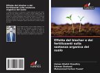 Effetto del biochar e dei fertilizzanti sulla sostanza organica del suolo