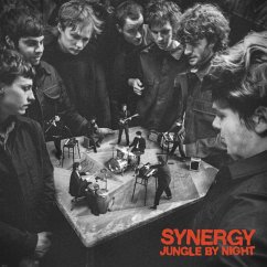 Synergy - Jungle By Night