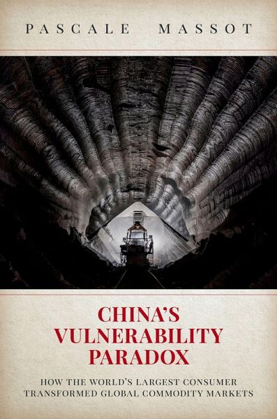 China's Vulnerability Paradox (eBook, ePUB) China's Vulnerability Paradox (eBook, ePUB)