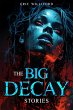 The Big Decay (eBook, ePUB) - Bild 1