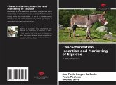 Characterization, Insertion and Marketing of Equidae