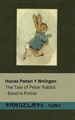 Hanes Pwtan Y Wningen / The Tale of Peter Rabbit - Potter, Beatrix