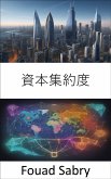 資本集約度 (eBook, ePUB)