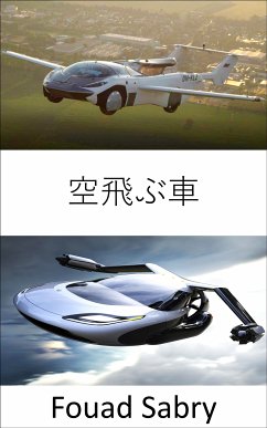 空飛ぶ車 (eBook, ePUB) - Sabry, Fouad