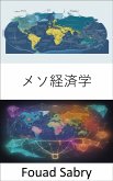 メソ経済学 (eBook, ePUB)