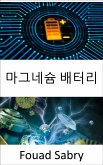 마그네슘 배터리 (eBook, ePUB)