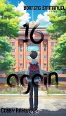 Sixteen Again (high school) (eBook, ePUB)