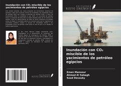 Inundación con CO¿ miscible de los yacimientos de petróleo egipcios - Mansour, Eman; Al Sabagh, Ahmed; Desouky, Saad