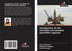 Inondazione di CO¿ miscibile nei serbatoi petroliferi egiziani - Mansour, Eman;Al Sabagh, Ahmed;Desouky, Saad