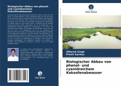 Cover Biologischer Abbau von phenol- und cyanidreichem Koksofenabwasser