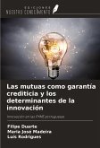 Las mutuas como garantía crediticia y los determinantes de la innovación