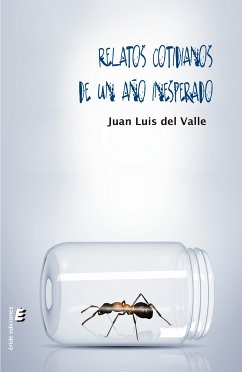 Relatos cotidianos de un año inesperado (eBook, ePUB) - Valle Pliego, Juan Luis del