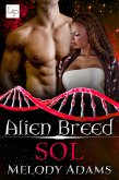 Sol (eBook, ePUB)